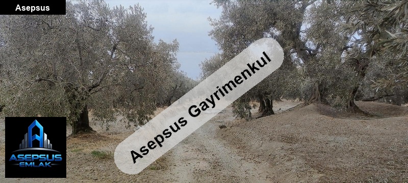 Asepsus Emlak'tan  edincik mh. 'sinde satılık arsa