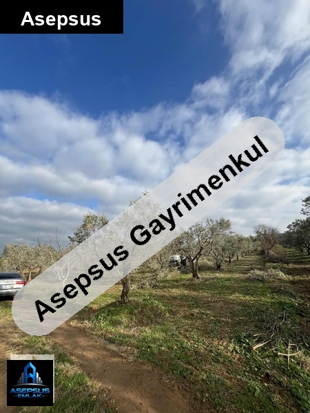 Asepsus Emlak'tan  yeşilçomlu mh. 'sinde satılık arsa