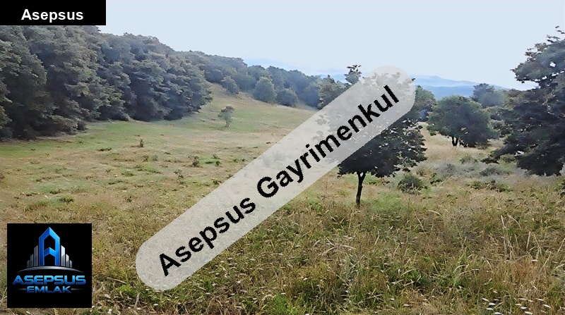 Asepsus Emlak'tan  suçıktı mh. 'sinde satılık arsa