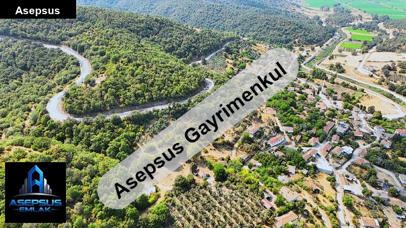 Asepsus Emlak'tan  dereköy mh. 'sinde satılık arsa