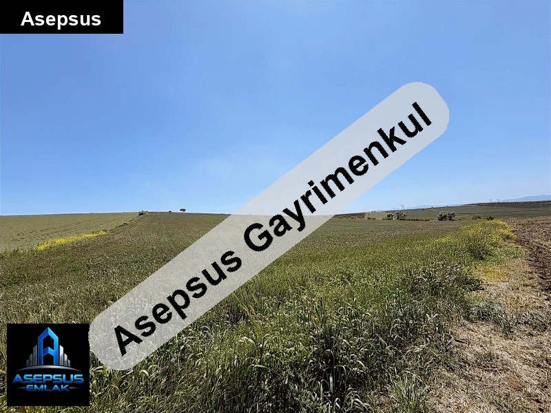 Asepsus Emlak'tan  havutça mh. 'sinde satılık arsa