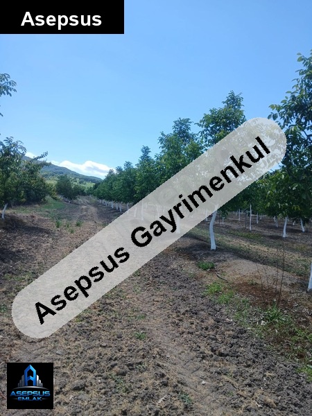 Asepsus Emlak'tan  üçpınar mh. 'sinde satılık arsa