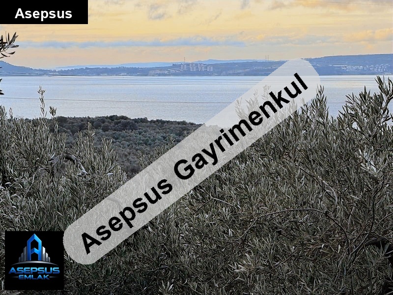 Asepsus Emlak'tan  edincik mh. 'sinde satılık arsa