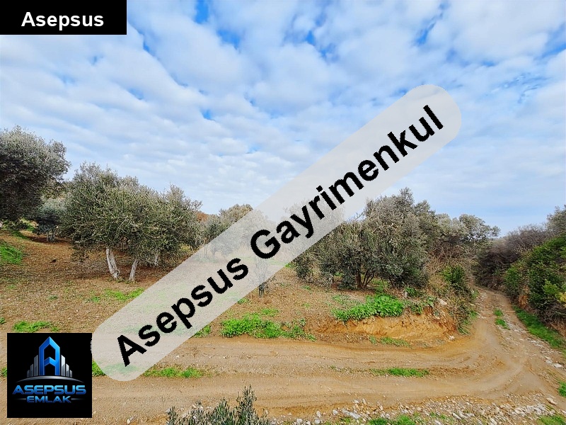 Asepsus Emlak'tan  çalışkanlar mh. 'sinde satılık arsa