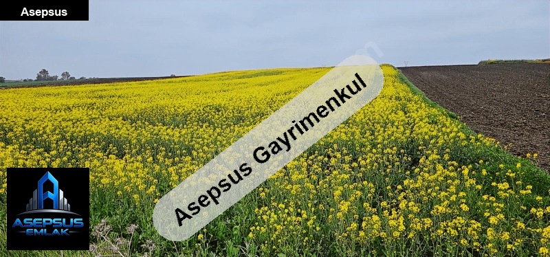 Asepsus Emlak'tan  doğruca mh. 'sinde satılık arsa