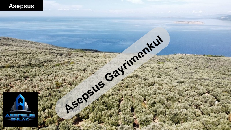 Asepsus Emlak'tan  edincik mh. 'sinde satılık arsa