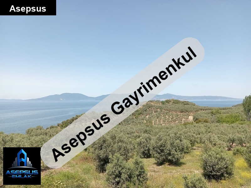 Asepsus Emlak'tan  misakça mh. 'sinde satılık arsa