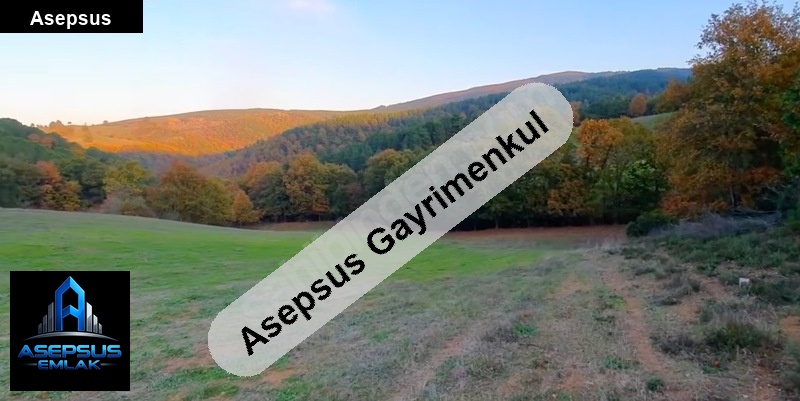 Asepsus Emlak'tan  geyikli mh. 'sinde satılık arsa