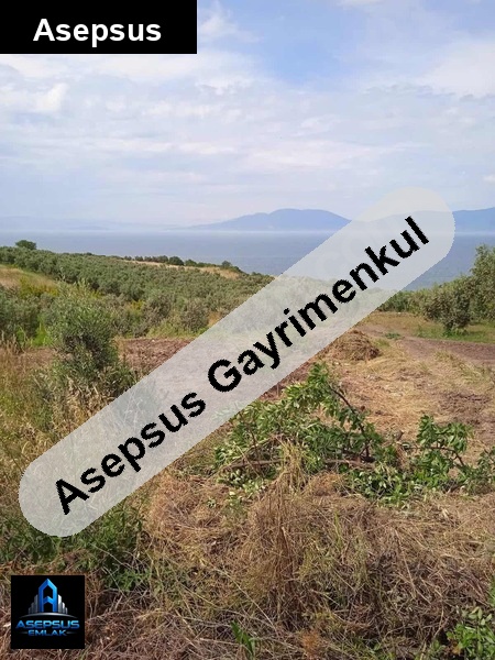 Asepsus Emlak'tan  misakça mh. 'sinde satılık arsa