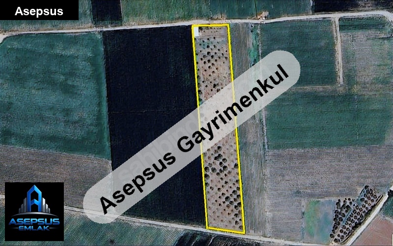 Asepsus Emlak'tan  aksakal mh. 'sinde satılık arsa