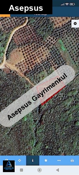 Asepsus Emlak'tan  yenice mh. 'sinde satılık arsa