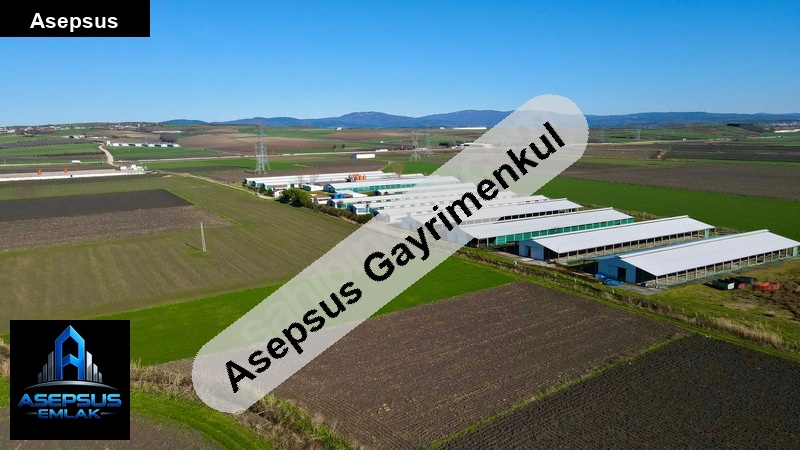 Asepsus Emlak'tan  akçapınar mh. 'sinde satılık arsa