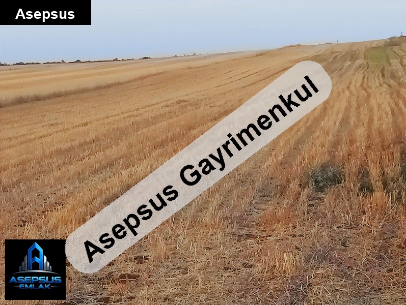 Asepsus Emlak'tan  ayvalıdere mh. 'sinde satılık arsa