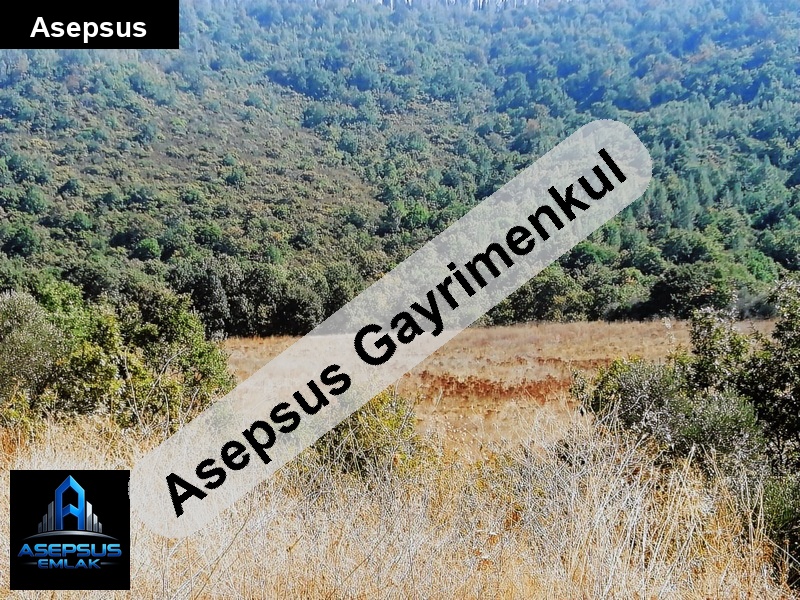 Asepsus Emlak'tan  sarıköy mh. 'sinde satılık arsa