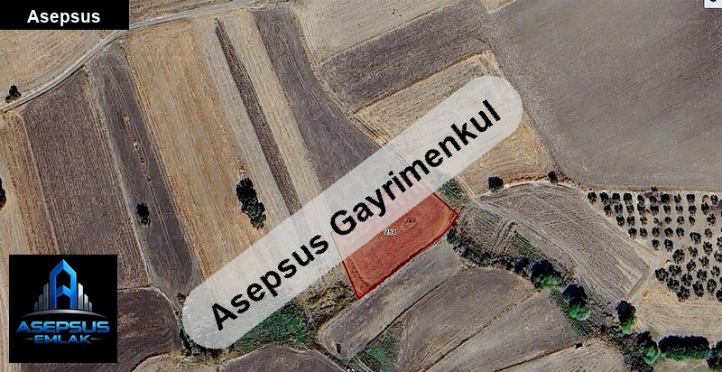 Asepsus Emlak'tan  üzümlü mh. 'sinde satılık arsa