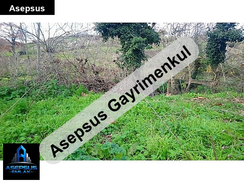Asepsus Emlak'tan  canbaz mh. 'sinde satılık arsa