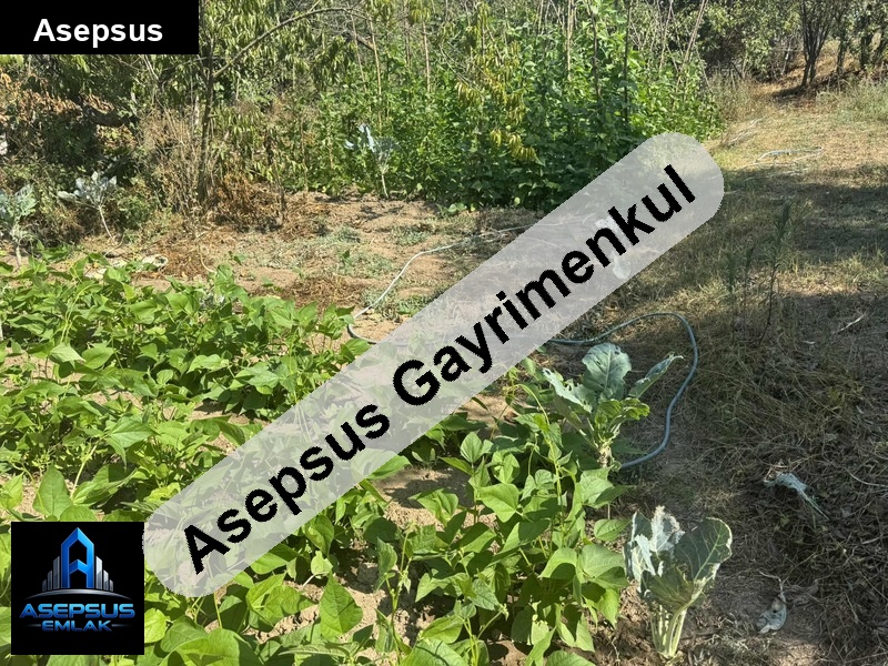 Asepsus Emlak'tan  şaroluk mh. 'sinde satılık arsa