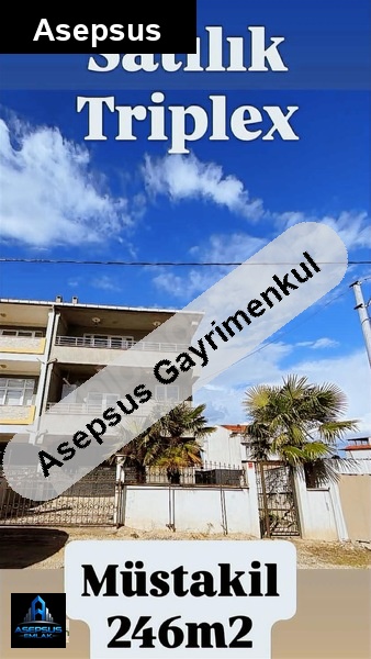 Asepsus Emlak'tan 8+1 plevne mah. 'sinde satılık müstakil ev