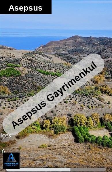 Asepsus Emlak'tan  kestanelik mh. 'sinde satılık arsa