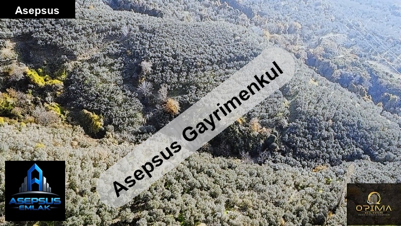 Asepsus Emlak'tan  ocaklar mh. 'sinde satılık arsa