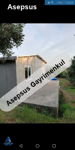 Asepsus Emlak'tan  zeytinli mah. 'sinde satılık arsa
