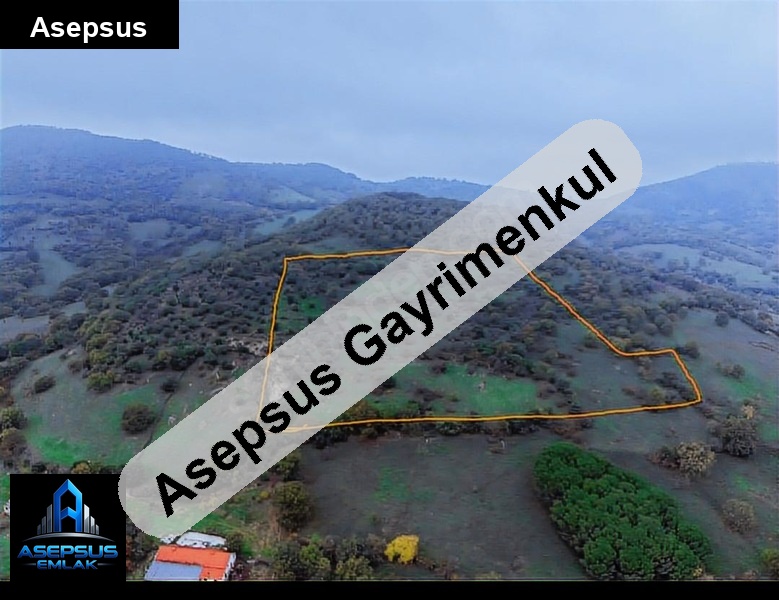 Asepsus Emlak'tan  enverpaşa mh. 'sinde satılık arsa