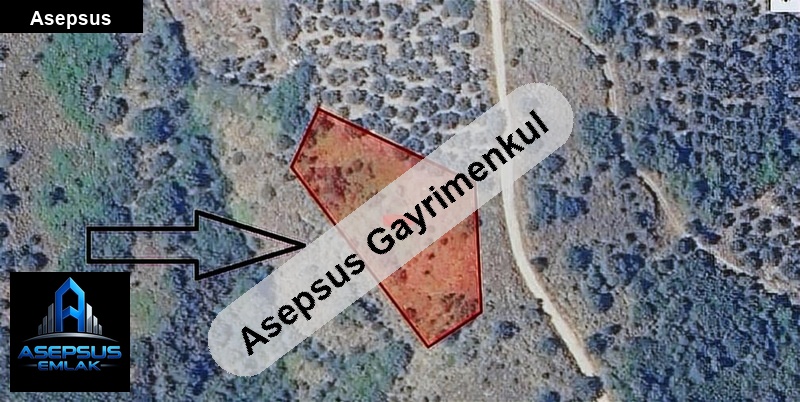Asepsus Emlak'tan  kestanelik mh. 'sinde satılık arsa