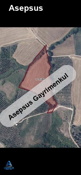 Asepsus Emlak'tan  eskimanyas mh. 'sinde satılık arsa