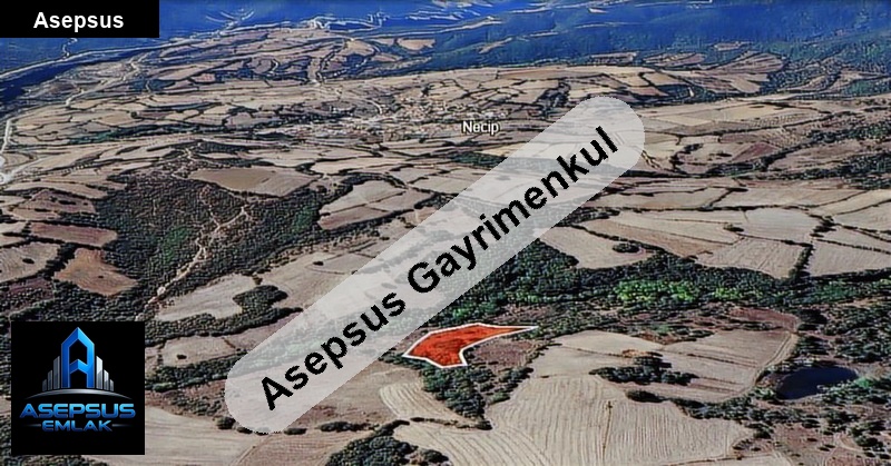 Asepsus Emlak'tan  necip mh. 'sinde satılık arsa