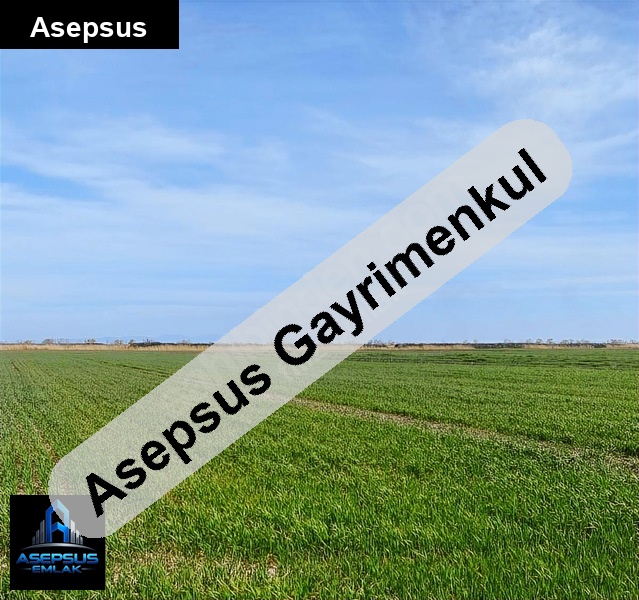 Asepsus Emlak'tan  kocagöl mh. 'sinde satılık arsa