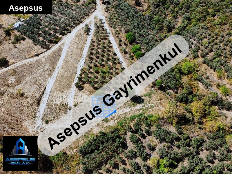 Asepsus Emlak'tan  tatlısu mh. 'sinde satılık arsa