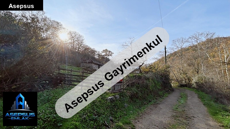 Asepsus Emlak'tan 2+1 dereköy mh. 'sinde satılık müstakil ev