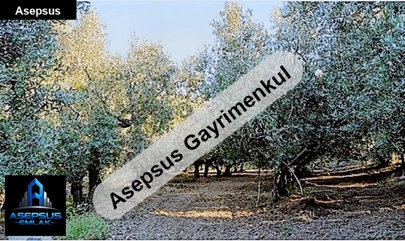 Asepsus Emlak'tan  ocaklar mh. 'sinde satılık arsa