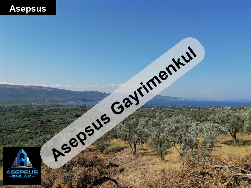 Asepsus Emlak'tan  belkıs mh. 'sinde satılık arsa