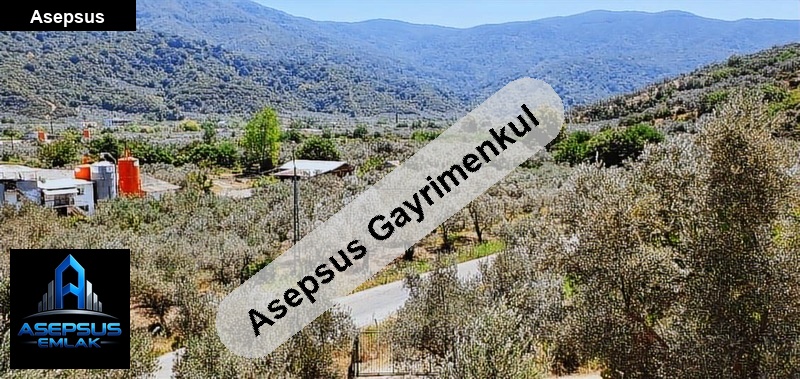 Asepsus Emlak'tan  turan mh. 'sinde satılık arsa