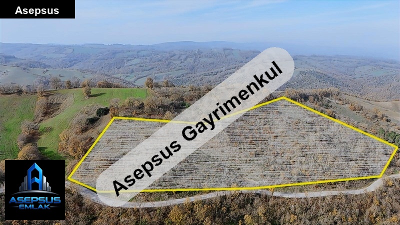 Asepsus Emlak'tan  peynirkuyu mh. 'sinde satılık arsa