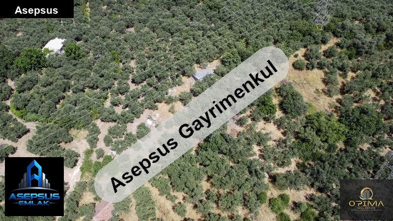 Asepsus Emlak'tan  ocaklar mh. 'sinde satılık arsa