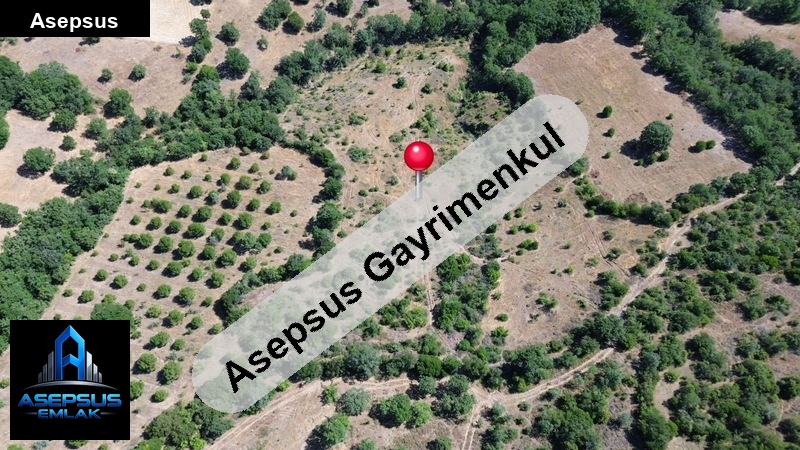 Asepsus Emlak'tan  yaylacık mh. 'sinde satılık arsa