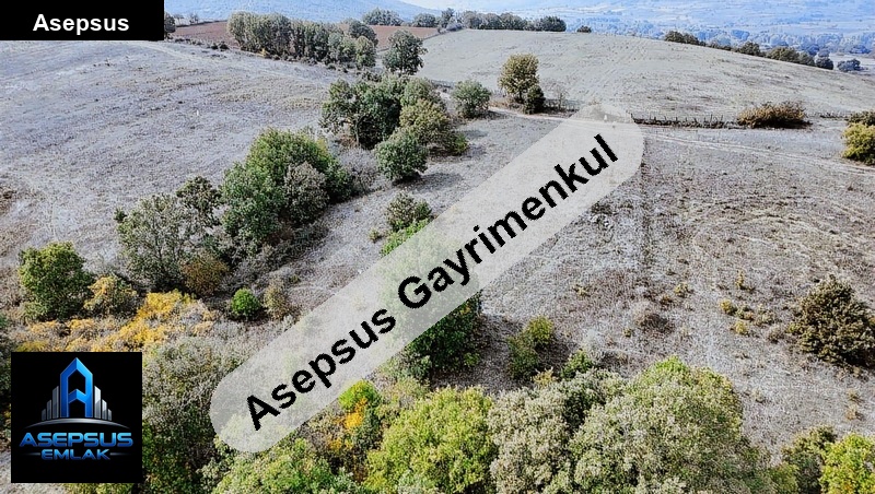 Asepsus Emlak'tan  ilıca mh. 'sinde satılık arsa