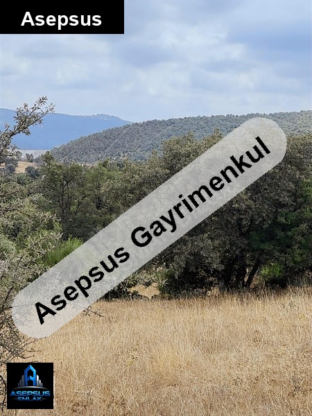 Asepsus Emlak'tan  bengiler mh. 'sinde satılık arsa