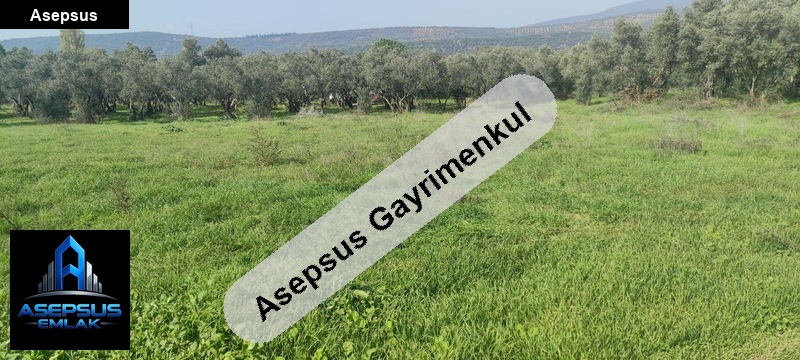 Asepsus Emlak'tan  yalı mh. 'sinde satılık arsa