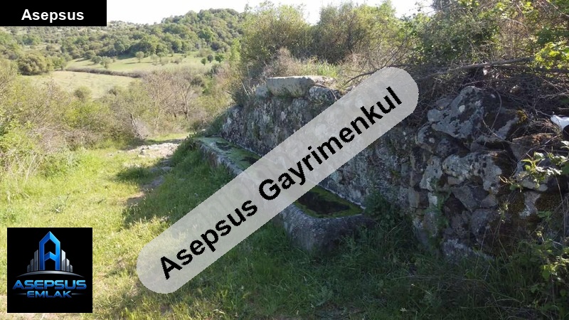 Asepsus Emlak'tan  dereköy mh. 'sinde satılık arsa