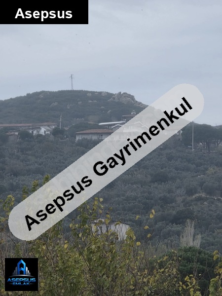 Asepsus Emlak'tan  belkıs mh. 'sinde satılık arsa