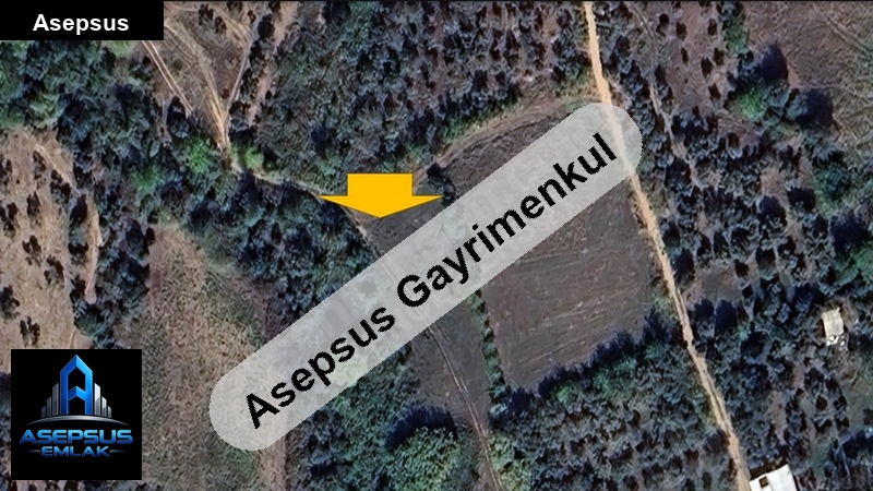 Asepsus Emlak'tan  tatlısu mh. 'sinde satılık arsa