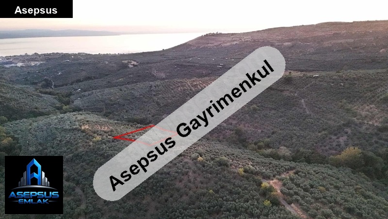 Asepsus Emlak'tan  atatürk mh. 'sinde satılık arsa