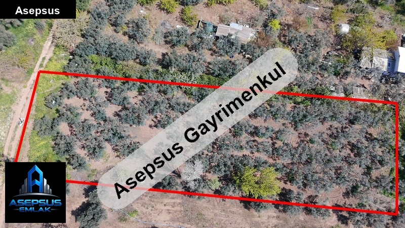 Asepsus Emlak'tan  yalı mh. 'sinde satılık arsa