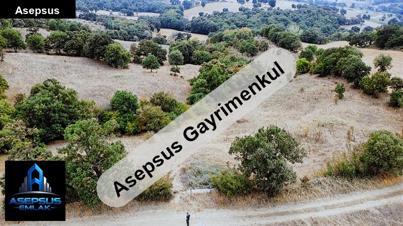 Asepsus Emlak'tan  karlık mh. 'sinde satılık arsa