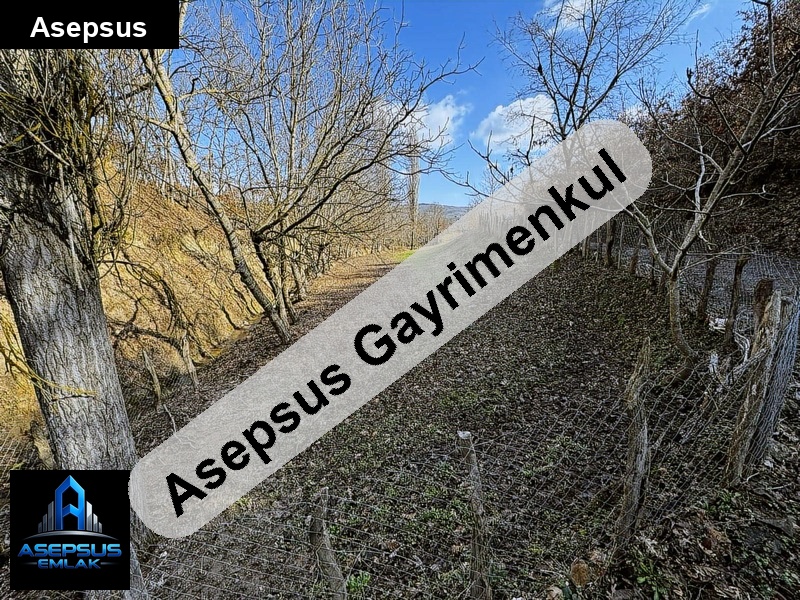 Asepsus Emlak'tan  çalova mh. 'sinde satılık arsa