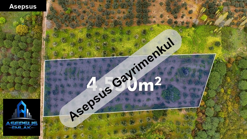 Asepsus Emlak'tan  çeltikçi mh. 'sinde satılık arsa