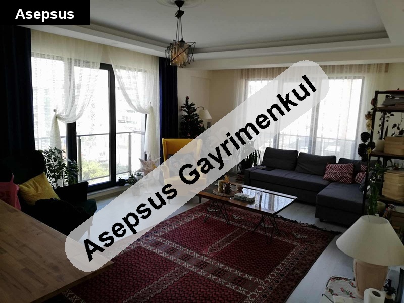 3+1 site i̇çerisinde geniş daire